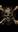 BlackSamBellemy's avatar