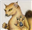 MongooseGef's avatar