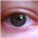 KingMangotheMad's avatar