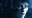 xDarkChefx's avatar