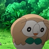Pigeon252's avatar