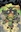 GoblinBookClub's avatar