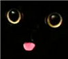 Alekra's avatar