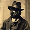 Sir_Arachnington's avatar