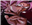 AltoAurora's avatar