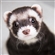 weaselmaster2354's avatar