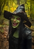 robertg97's avatar
