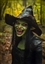 robertg97's avatar