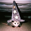 Inviie's avatar