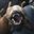SovereignDrowned's avatar