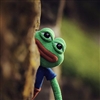 alphabaetagamma's avatar