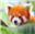 Artemis_Fowl123's avatar
