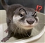 RattoPotato's avatar