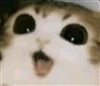 Loboman100's avatar