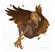 Speedyguy360's avatar
