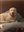 Remleygold's avatar