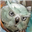 Reddo96797's avatar