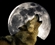 Blutwolf's avatar