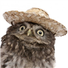 Chroniker's avatar