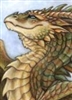 TroubledHierophant's avatar