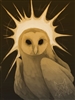 TinyRayy's avatar