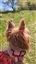 Widji's avatar
