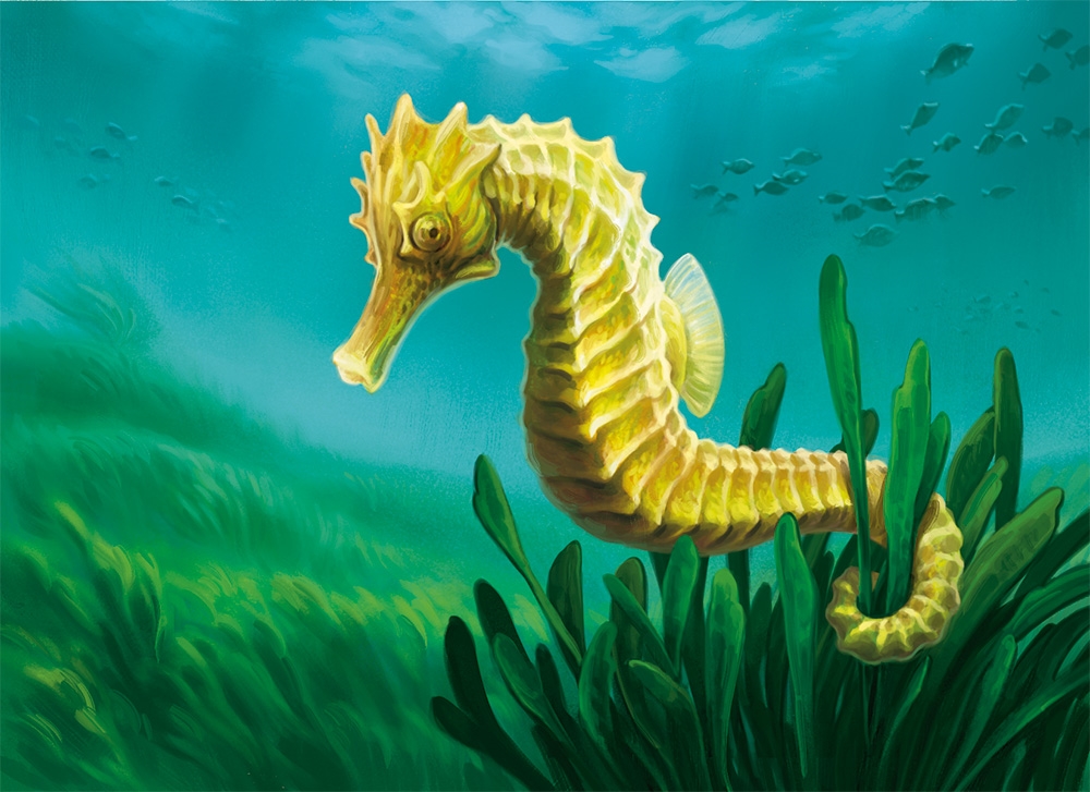 Seahorse