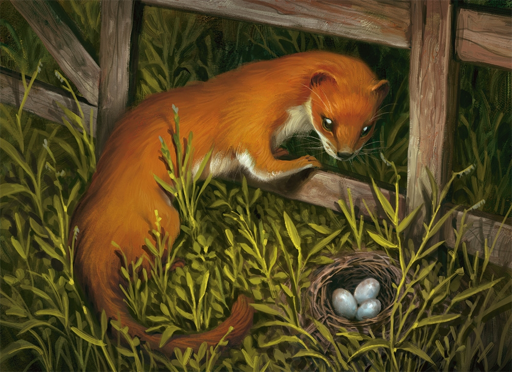 Weasel