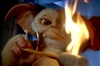 Sigmond's avatar