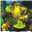 DorsonKieffer's avatar