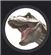 james3k's avatar