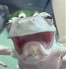 KhaoticZah's avatar