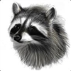 Raccman's avatar