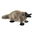 Four_Legged_Duck's avatar