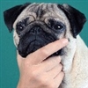 A_A_Ron_B's avatar
