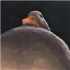 PlumbJungles's avatar
