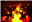 Phoenix89's avatar