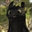_CheeseWizard_'s avatar