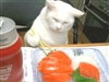 Bahdi_Phat's avatar