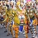 tiger_festival's avatar