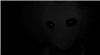 CreeperofDoom's avatar