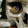 encryptidmoth's avatar