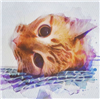 MrHawthorne's avatar