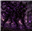 BobbyTireIrons's avatar