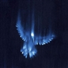 xxdeathstalker's avatar
