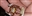 roaric55's avatar