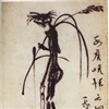 Steko's avatar