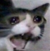 Sporkipine's avatar