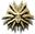 lgeretti's avatar