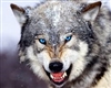 AllponeGrimmKyles's avatar